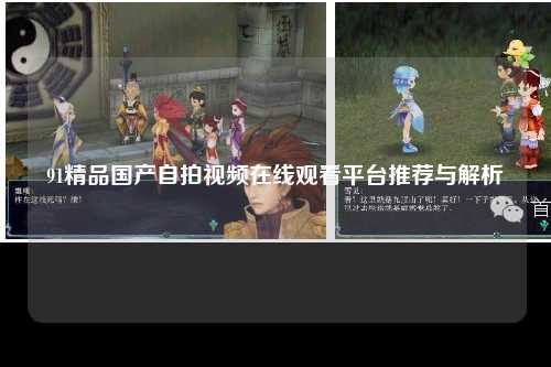 91精品国产自拍视频在线观看平台推荐与解析