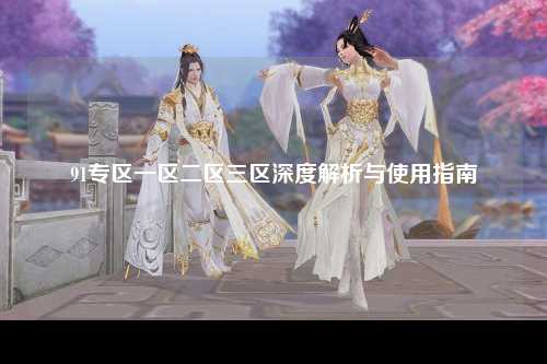 91专区一区二区三区深度解析与使用指南