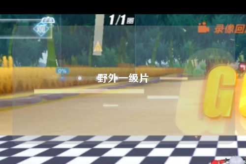 野外一级片