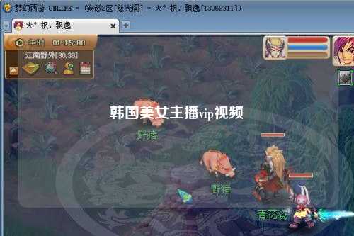 韩国美女主播vip视频