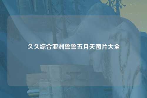 久久综合亚洲鲁鲁五月天图片大全