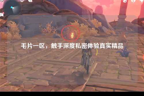 毛片一区，触手深度私密体验真实精品