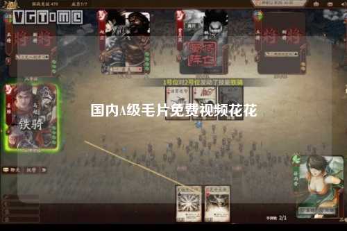 国内A级毛片免费视频花花