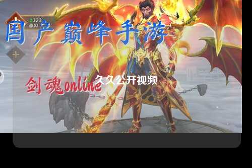 久久公开视频